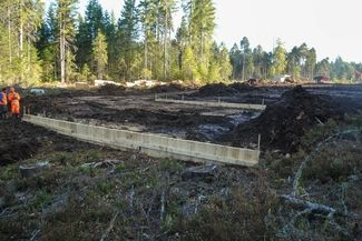 Holzpalisaden im Torfboden