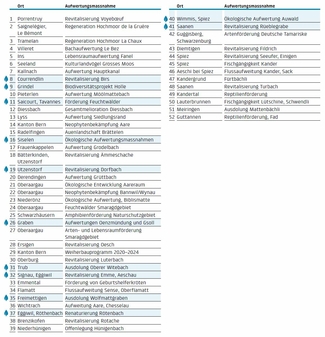 Liste mit den laufenden Projekten