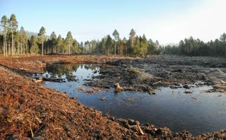 Das Hochmoor de la Gruère