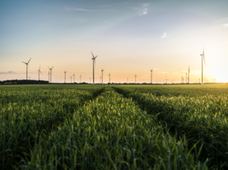 Windpark Dubener Platte