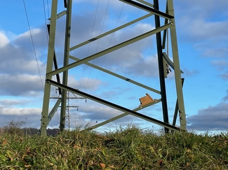 Das besagte Vogelhäuschen, fotografiert von einem Spaziergänger.