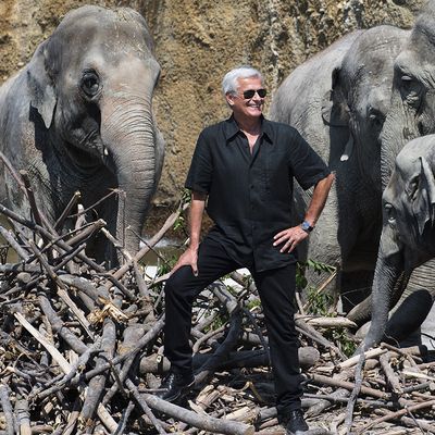 Franco Knie, Miteigentümer von Knies Kinderzoo in Rapperswil